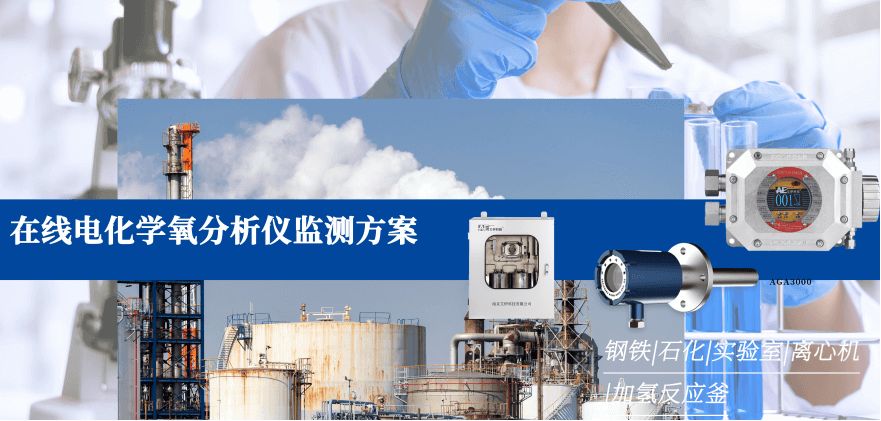 電化學(xué)氧檢測(cè)分析儀 電化學(xué)氧檢測(cè)分析儀